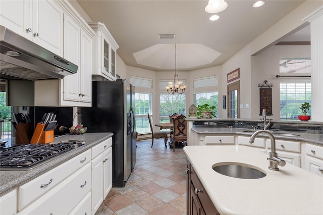 kitchen with stainless steel appliances, a sink, a healthy amount of sunlight, visible vents, and under cabinet range hood