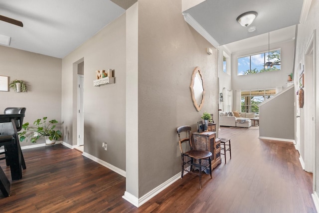 3001 Shoreline Dr, Burleson, TX 76028 - hallway featuring wood finished floors and baseboards