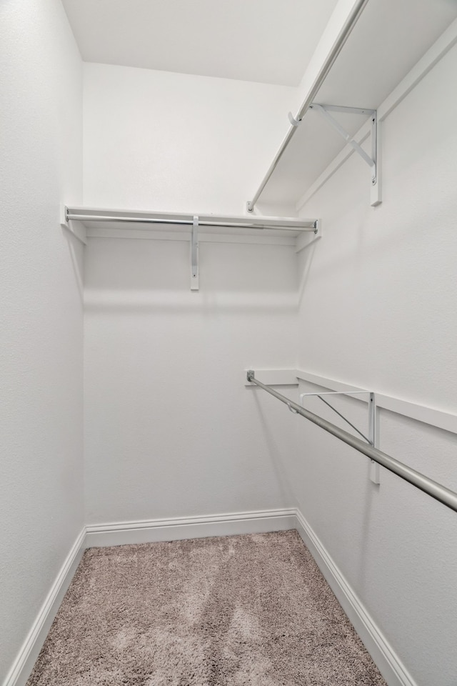 spacious closet with carpet