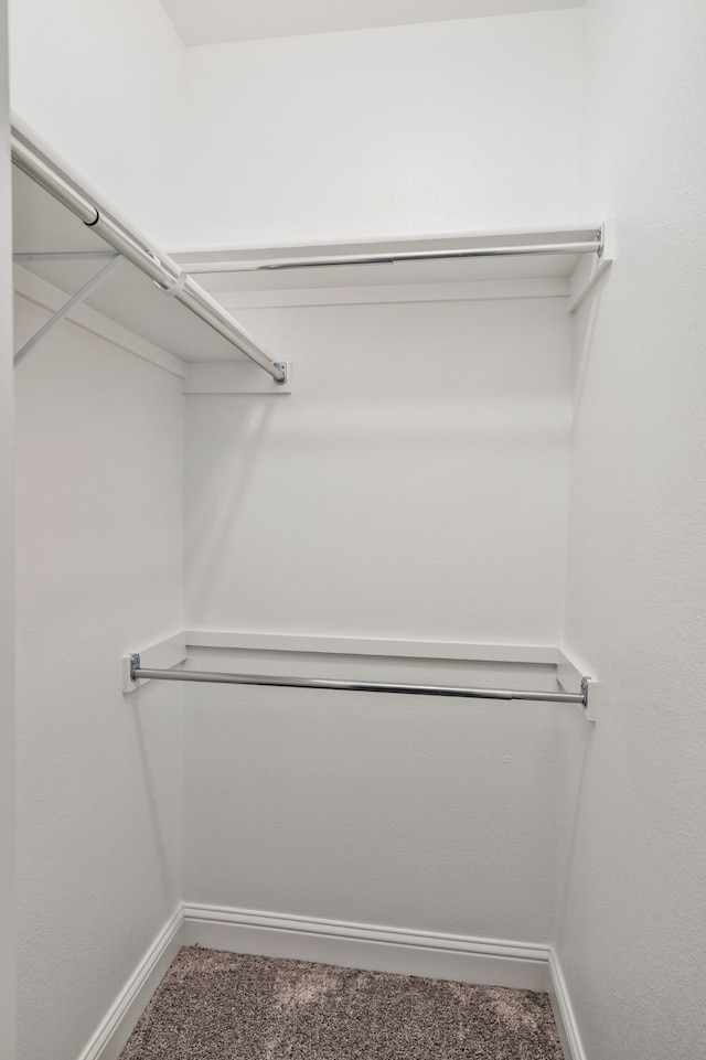 walk in closet featuring carpet flooring
