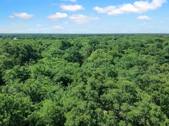 bird's eye view with a forest view
