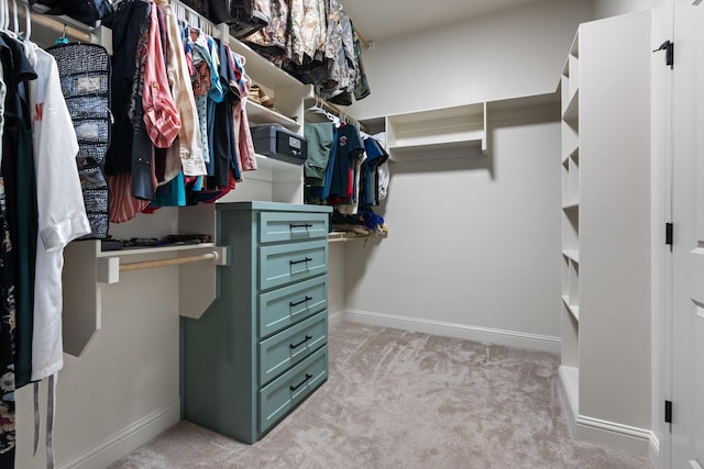 1295 County Road 2030, Glen Rose, TX 76043 - walk in closet with light colored carpet