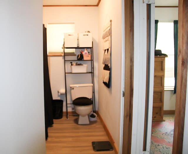 bathroom featuring wood finished floors, toilet, and baseboards