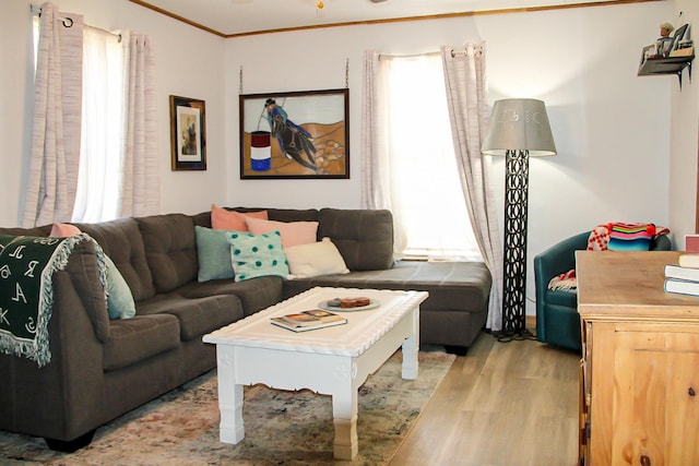 living area featuring plenty of natural light and wood finished floors