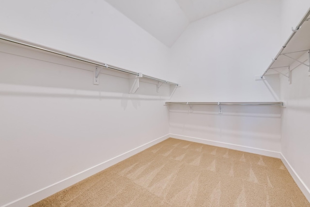 walk in closet with light carpet