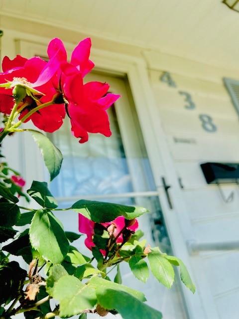 438 Atkins St, Sulphur Springs, TX 75482 - view of exterior details