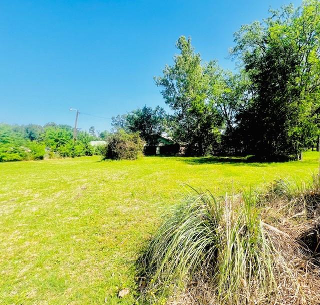 438 Atkins St, Sulphur Springs, TX 75482 - view of yard