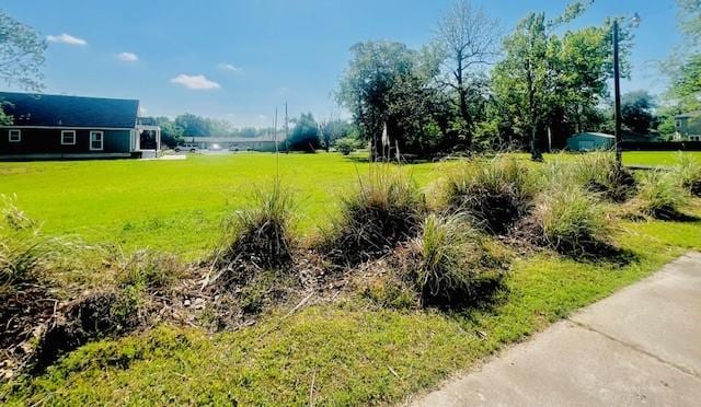 438 Atkins St, Sulphur Springs, TX 75482 - view of yard