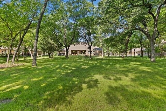 8450 Old Springtown Rd, Springtown, TX 76082 - view of yard