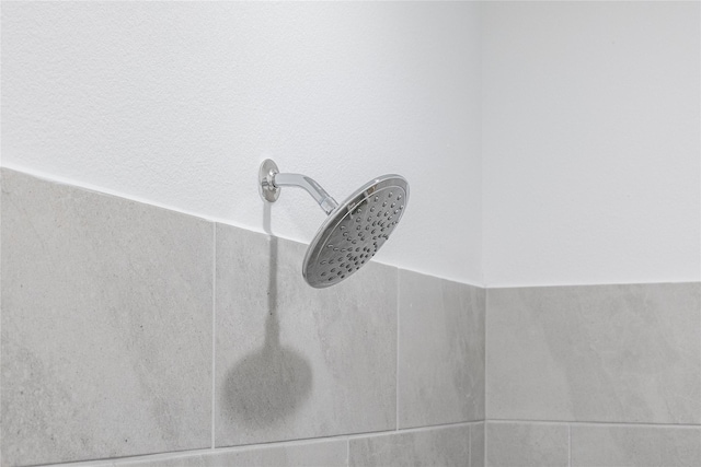 interior details featuring tiled shower