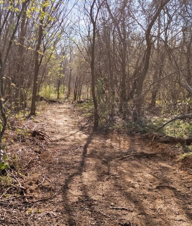 view of local wilderness
