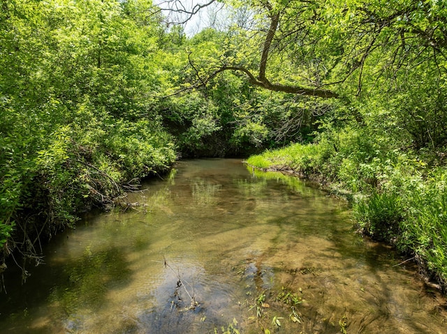 6263 Fm 934, Milford, TX 76670 - view of local wilderness featuring a wooded view