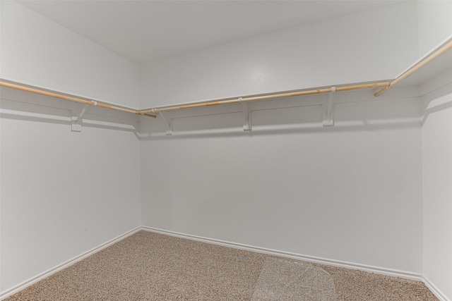 walk in closet featuring carpet flooring