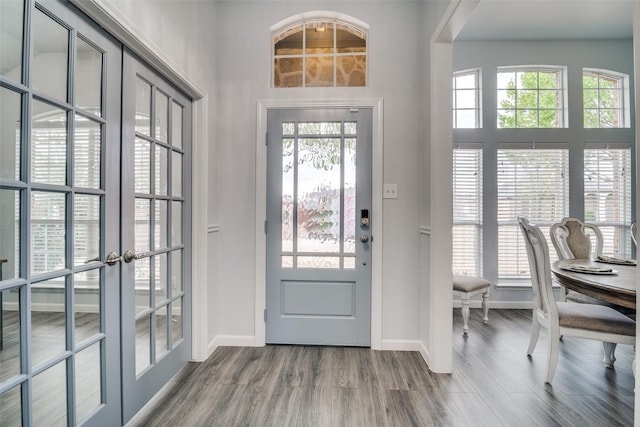 entryway featuring a healthy amount of sunlight, french doors, and wood finished floors