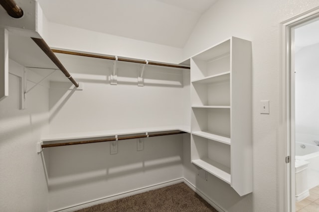 spacious closet with vaulted ceiling