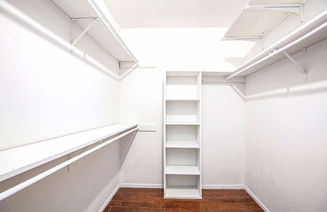 walk in closet featuring dark wood finished floors