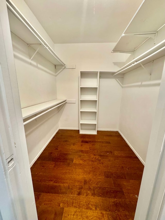 walk in closet featuring wood-type flooring