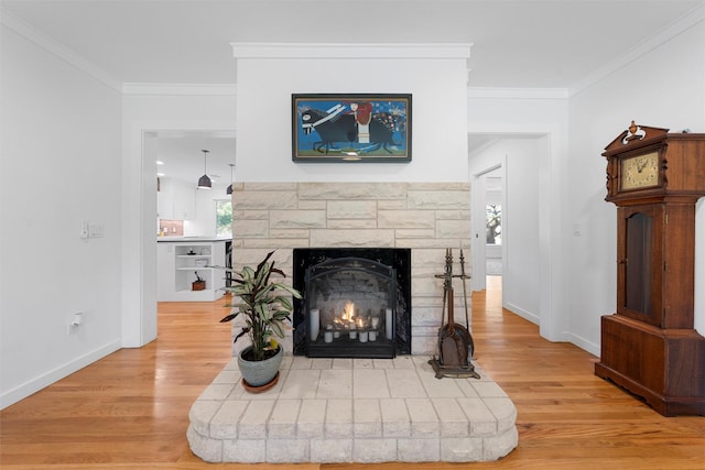 living room featuring baseboards, ornamental molding, wood finished floors, and a fireplace