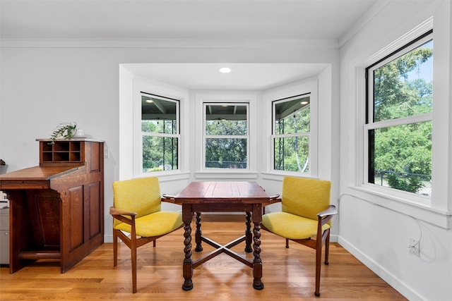 sitting room with a healthy amount of sunlight and light wood-style floors