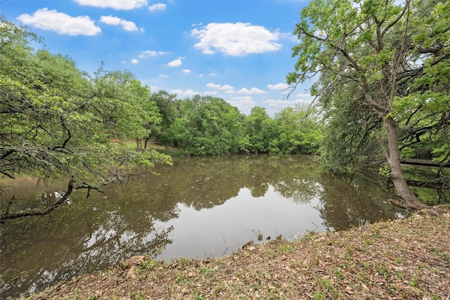 water view with a wooded view