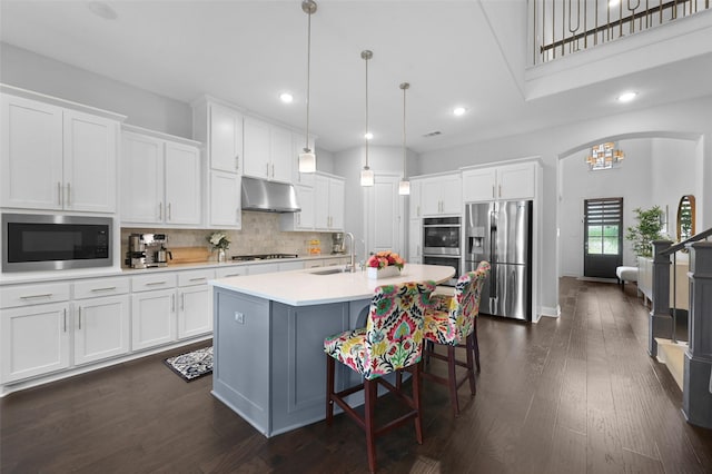 731 Drummond Dr, Prosper, TX 75078 - kitchen featuring white cabinets, under cabinet range hood, and appliances with stainless steel finishes