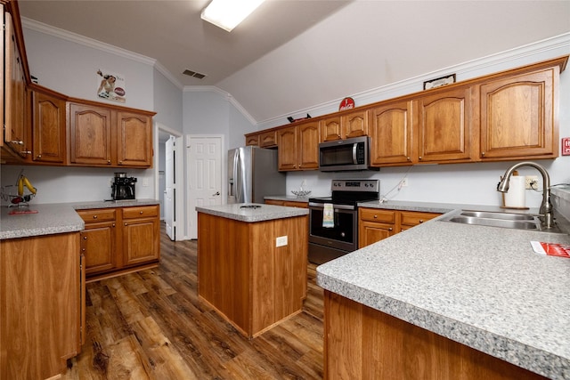 516 Hazelnut Ct, Saginaw, TX 76179 - kitchen with stainless steel appliances, a sink, crown molding, lofted ceiling, and dark wood-style flooring