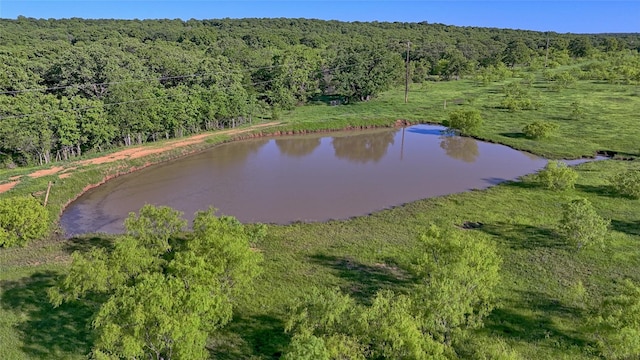 birds eye view of property with a water view and a wooded view