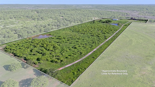 drone / aerial view with a forest view