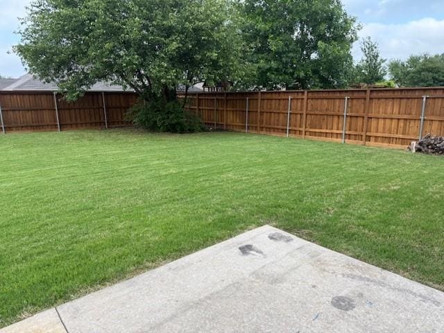 view of yard with a patio and a fenced backyard