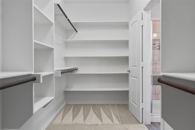 walk in closet featuring carpet floors