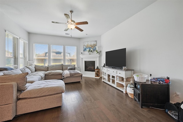 living area with dark wood finished floors, ceiling fan, a glass covered fireplace, and plenty of natural light