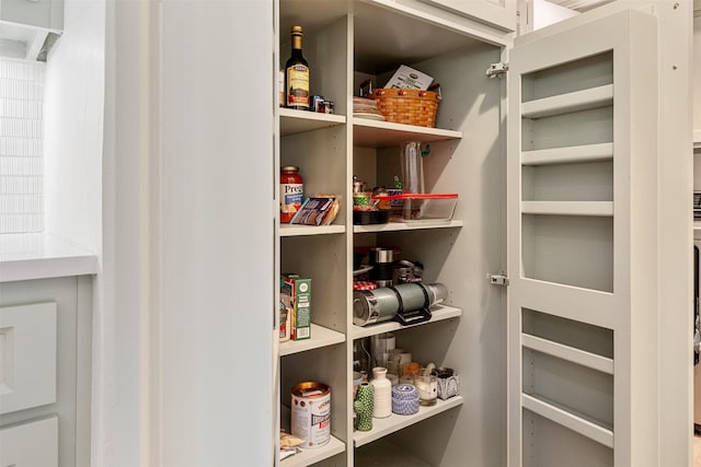 view of pantry