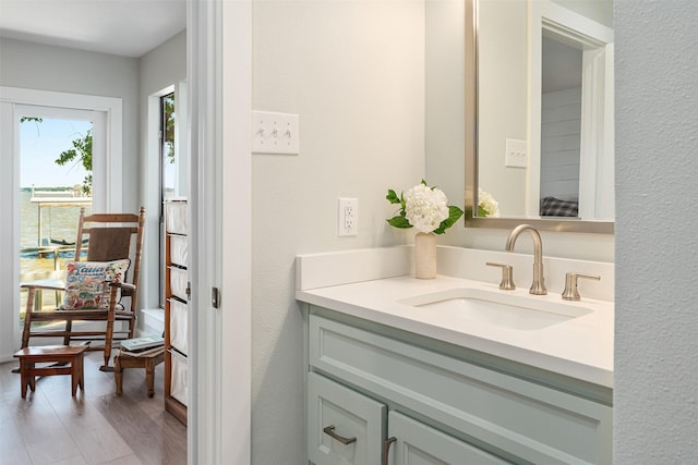 bathroom featuring wood finished floors and vanity