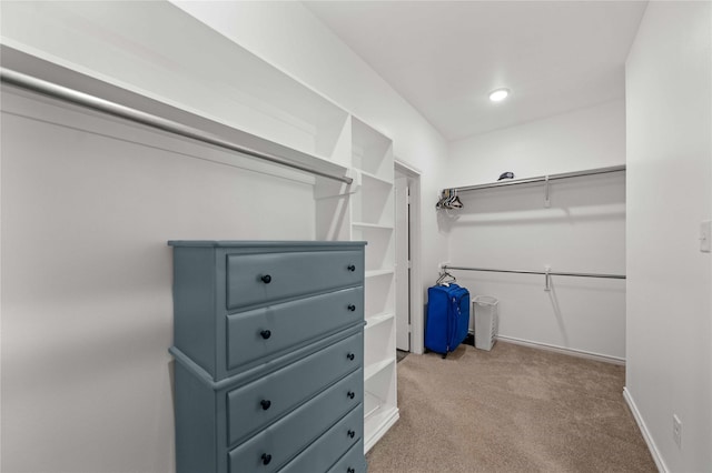 14825 Turtle Creek Ranch Rd, Flint, TX 75762 - spacious closet featuring carpet floors