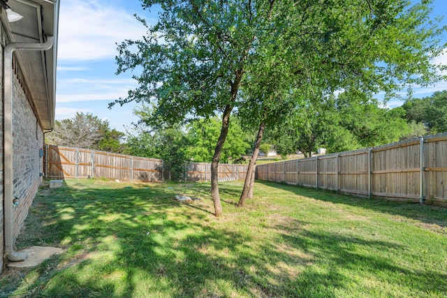4114 Seminole Trl, Granbury, TX 76048 - view of yard