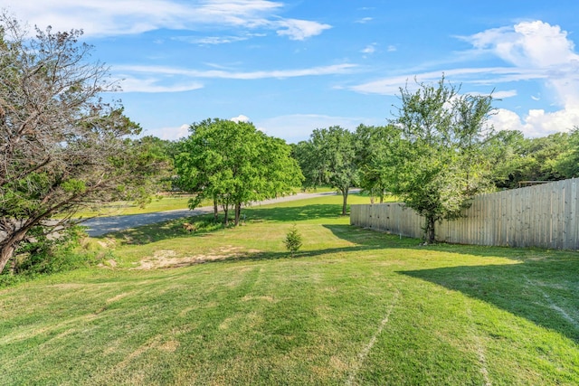 4114 Seminole Trl, Granbury, TX 76048 - view of yard