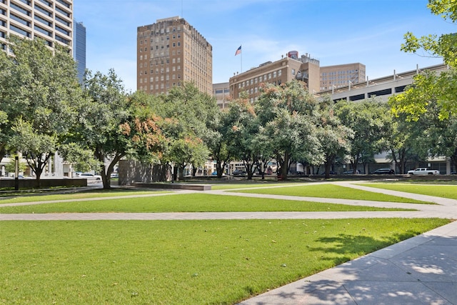 view of home's community with a lawn