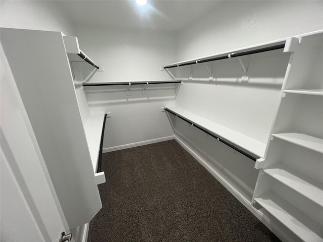 walk in closet with dark colored carpet