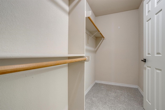 walk in closet featuring carpet flooring