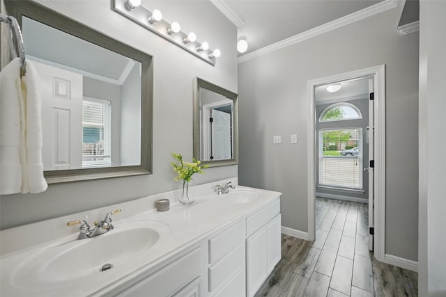 full bathroom with a sink, ornamental molding, and double vanity