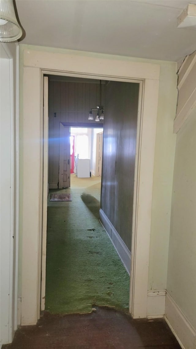 hallway featuring carpet floors