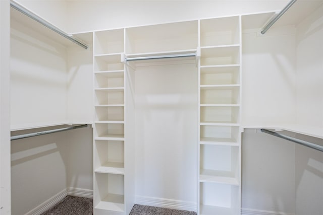 14835 Fallow Ln, Tyler, TX 75706 - view of walk in closet