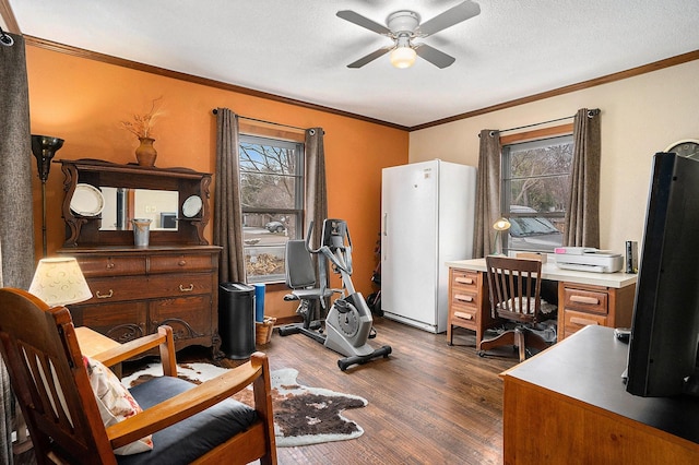 interior space featuring crown molding, a ceiling fan, and dark wood-style floors