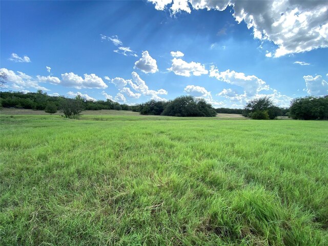 3425 Rickabaugh Rd, Granbury, TX 76048