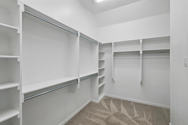 walk in closet featuring carpet flooring