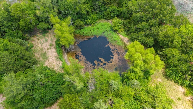 479 County Road 27450, Honey Grove, TX 75477 - birds eye view of property with a water view