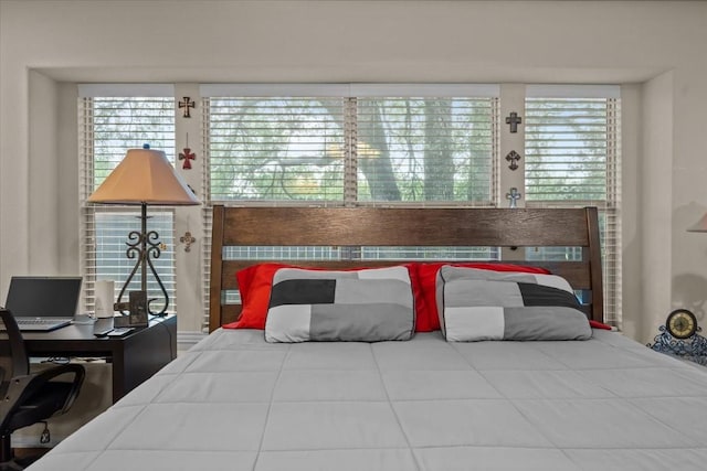 bedroom featuring multiple windows