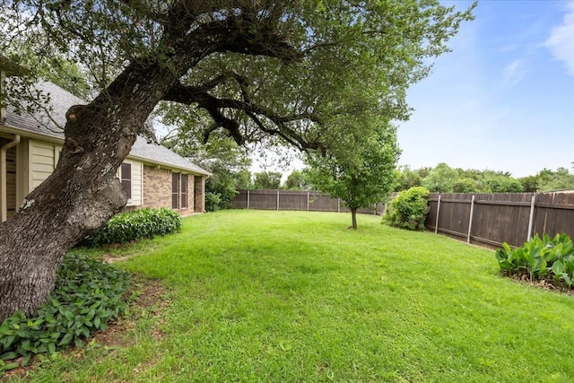 view of yard featuring a fenced backyard