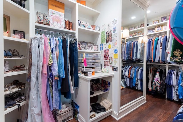 walk in closet with wood finished floors