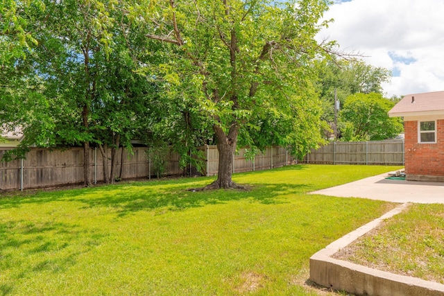 view of yard with a patio area and a fenced backyard